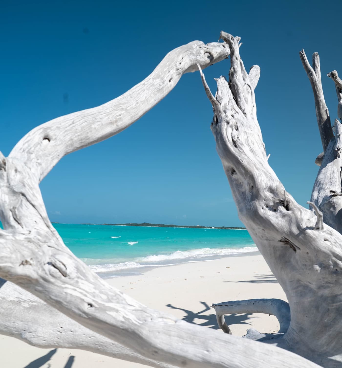 Exuma turquoise water through sun-bleached driftwood