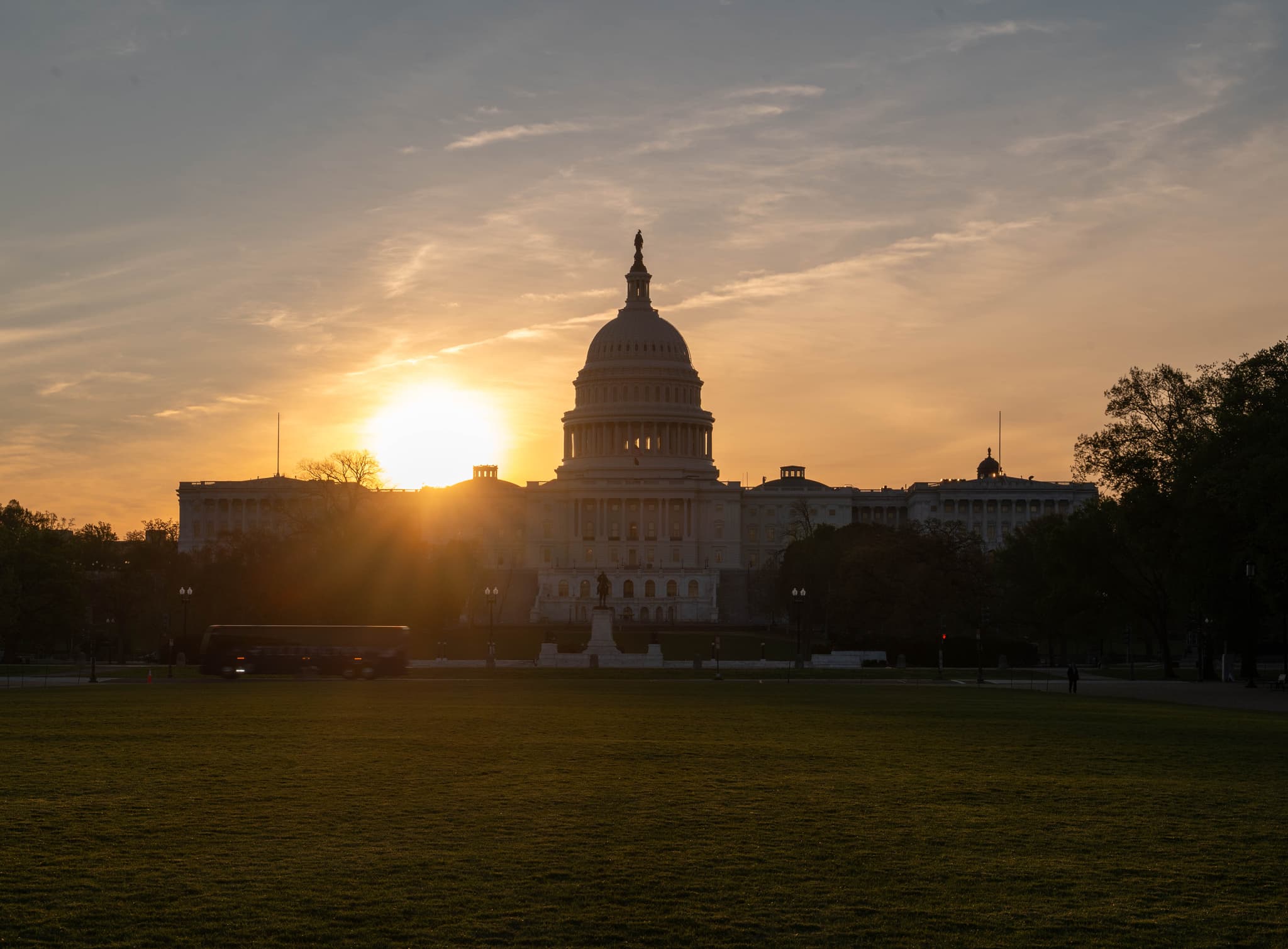 Petals, Tides, & Tunes