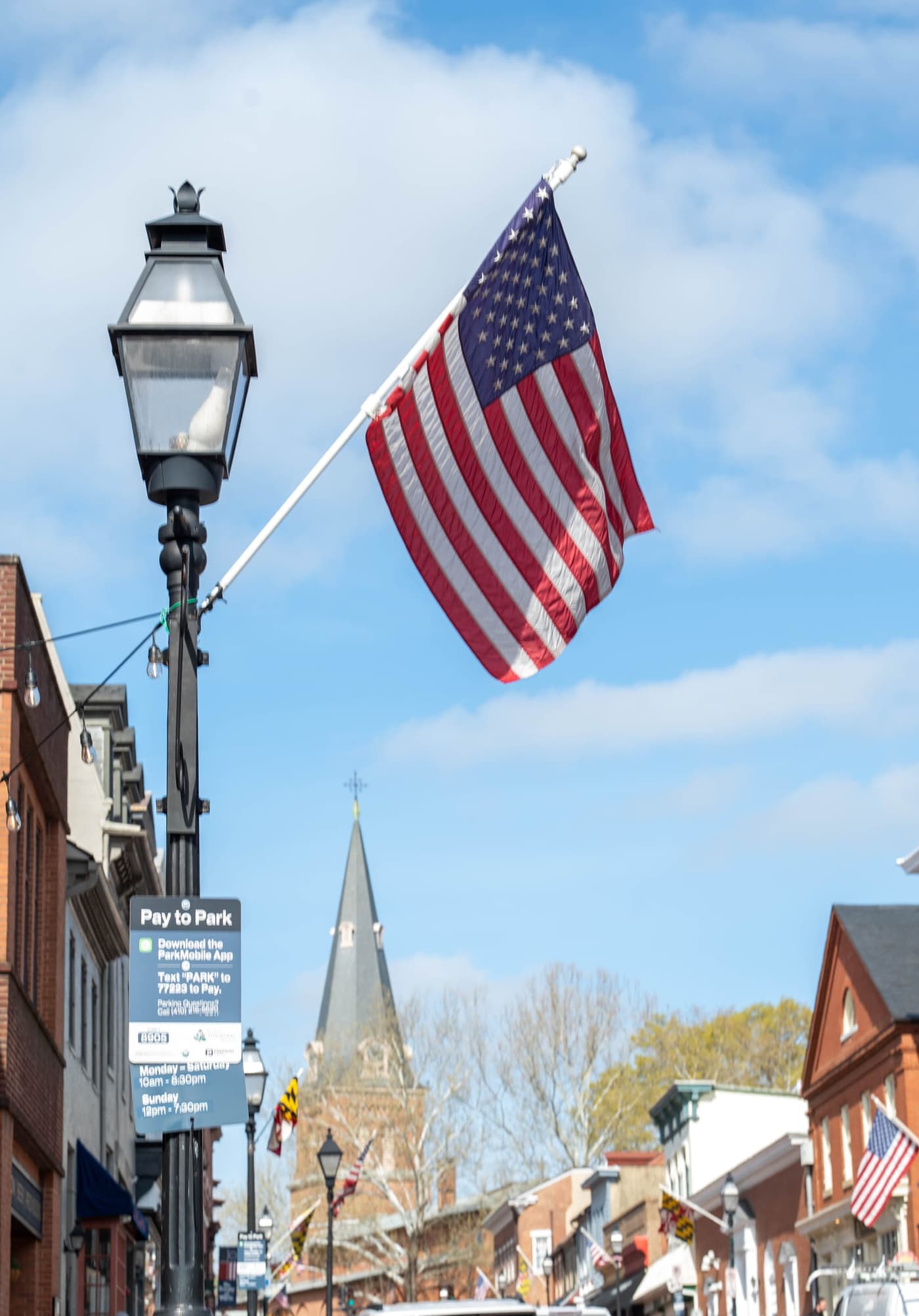 Petals, Tides, & Tunes
